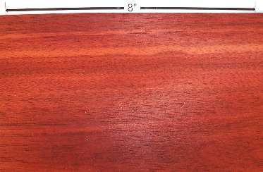 bloodwood veneer